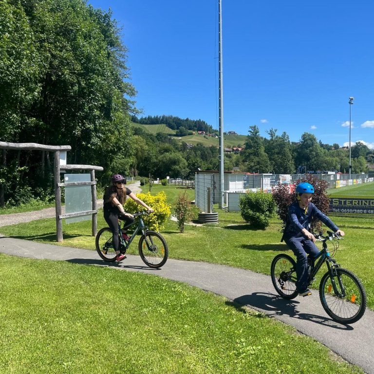 Üben für die Fahrradprüfung