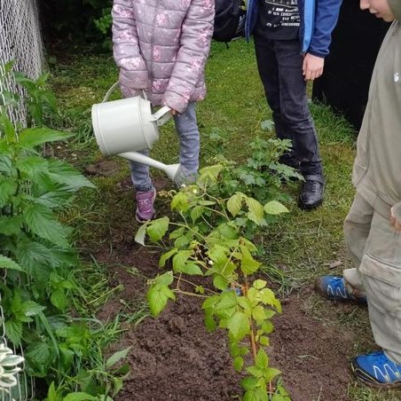 Kroki-Gartenprojekt-3