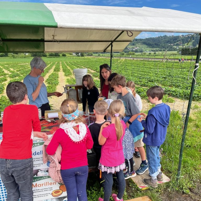 Besuch im Erdbeerland Krottendorf